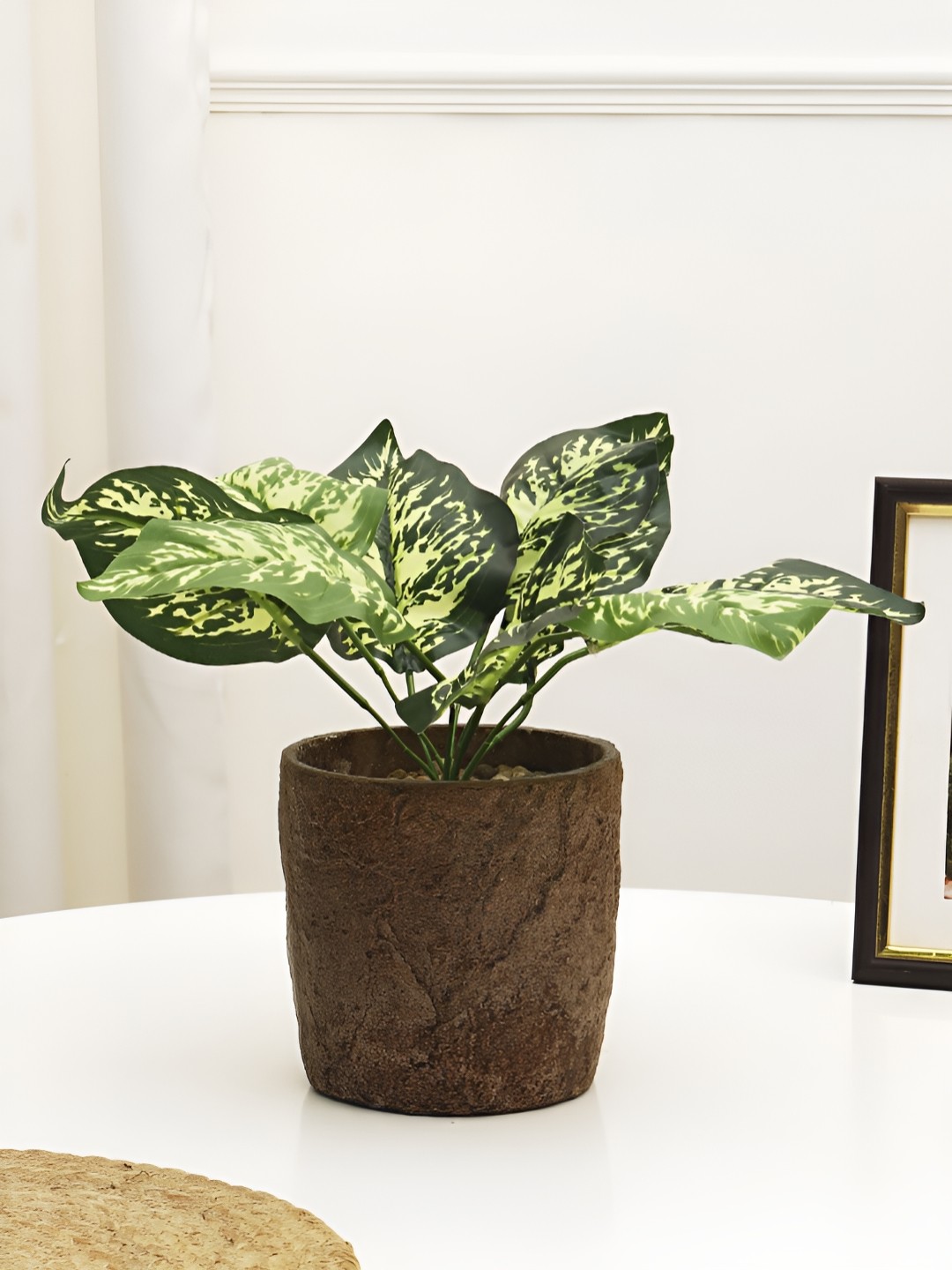 

XERGY Green & Brown Bougainvillea Artificial Plant With Pot