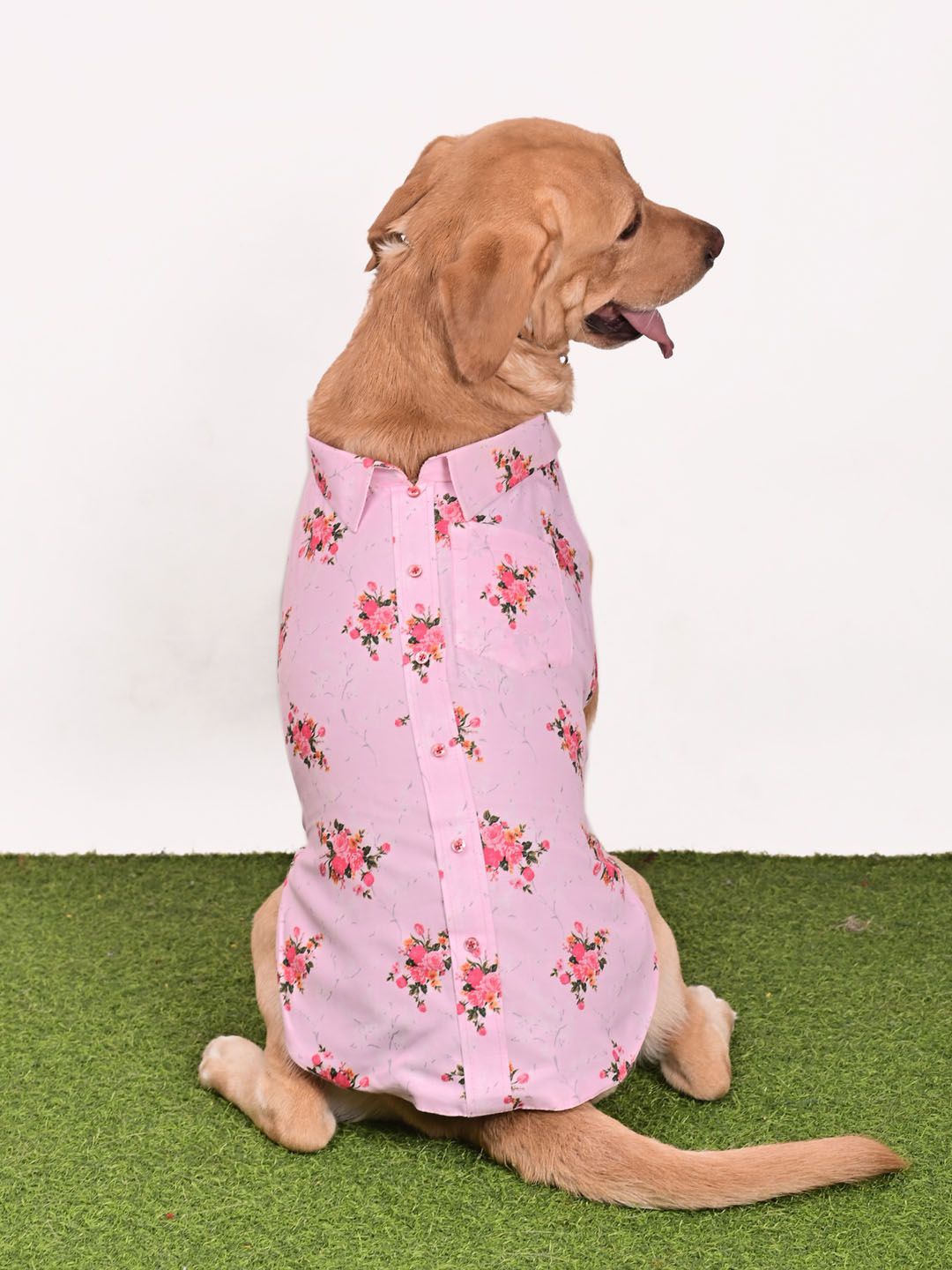 

VASTRAMAY Allover Graphic Printed Dog Shirt, Pink