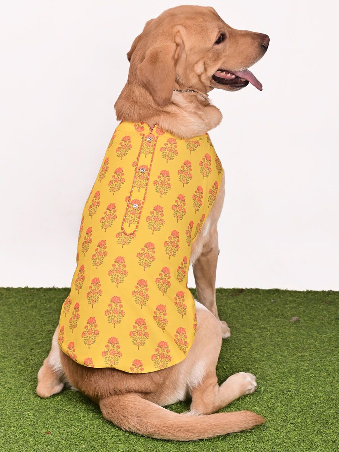 

VASTRAMAY Graphic Printed Ethnic Rayon Dog Dress, Yellow