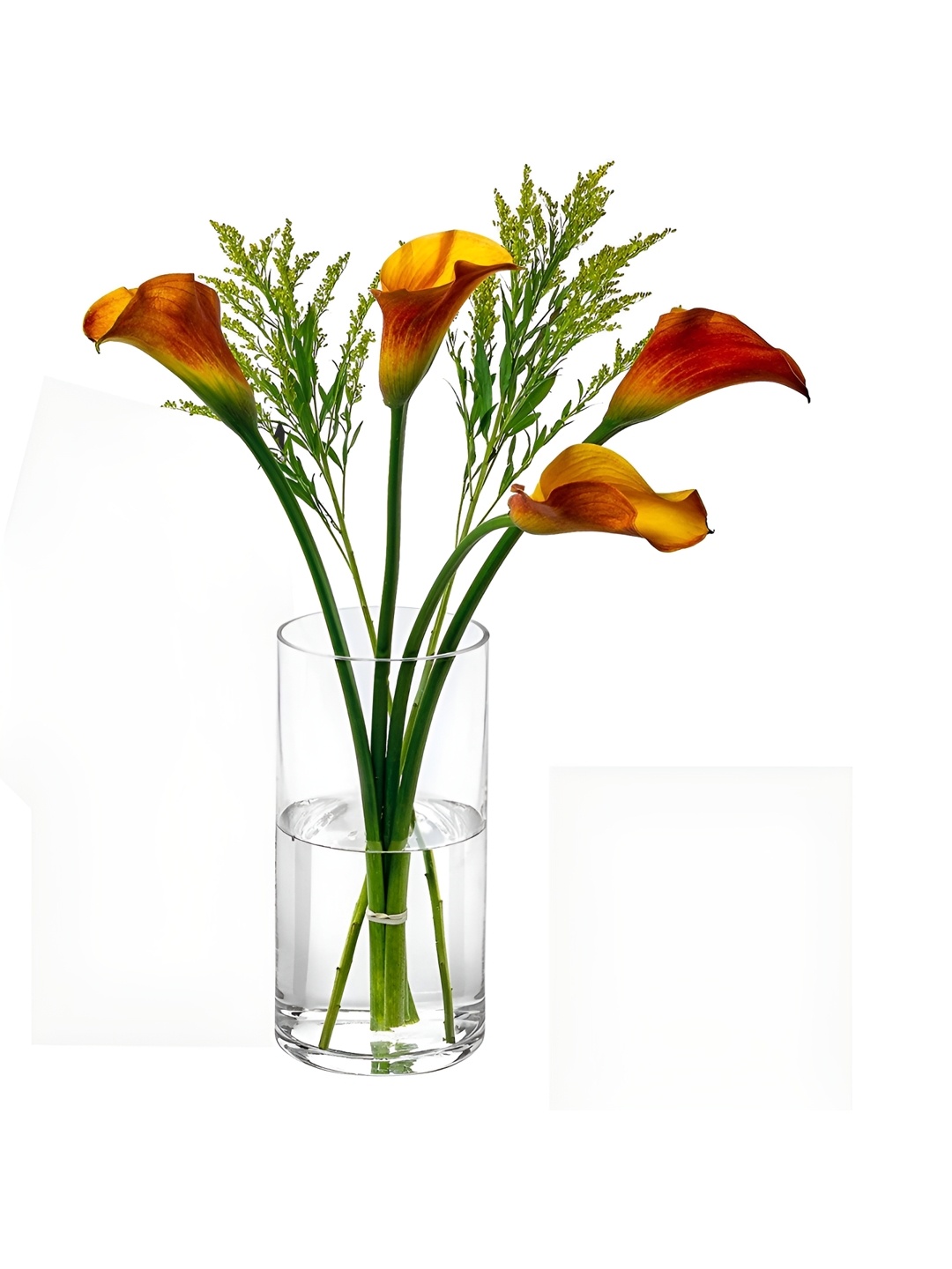 

Clovefry Glass Cylinder Vases 10 Inch Tall X 4 Inch Round vase for Home Decor, Transparent