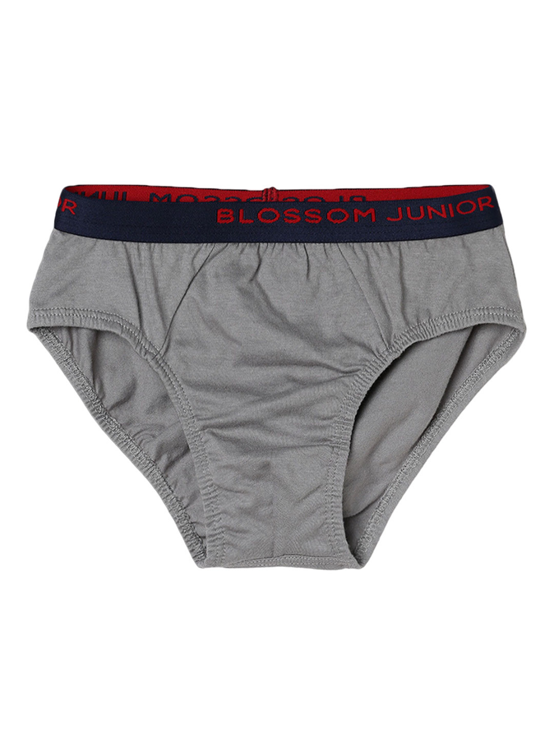 

BLOSSOM Boys Pack Of 3 Assorted Mid-Rise Cotton Hipster Briefs BJU01472_SMART.BOY_20_3P, Grey
