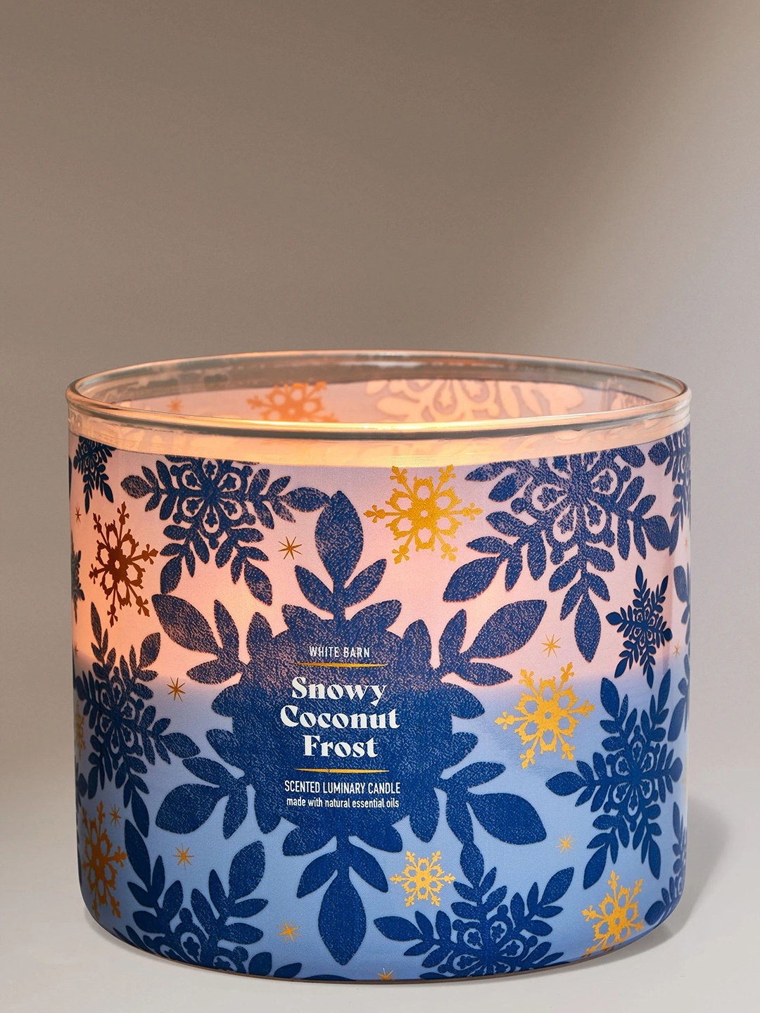 

Bath & Body Works Snowy Coconut Frost Scented 3-Wick Candle - 411g, Blue