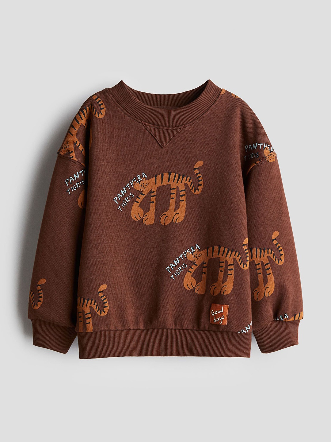 

H&M Boys Printed Crew-Neck Sweatshirts, Brown