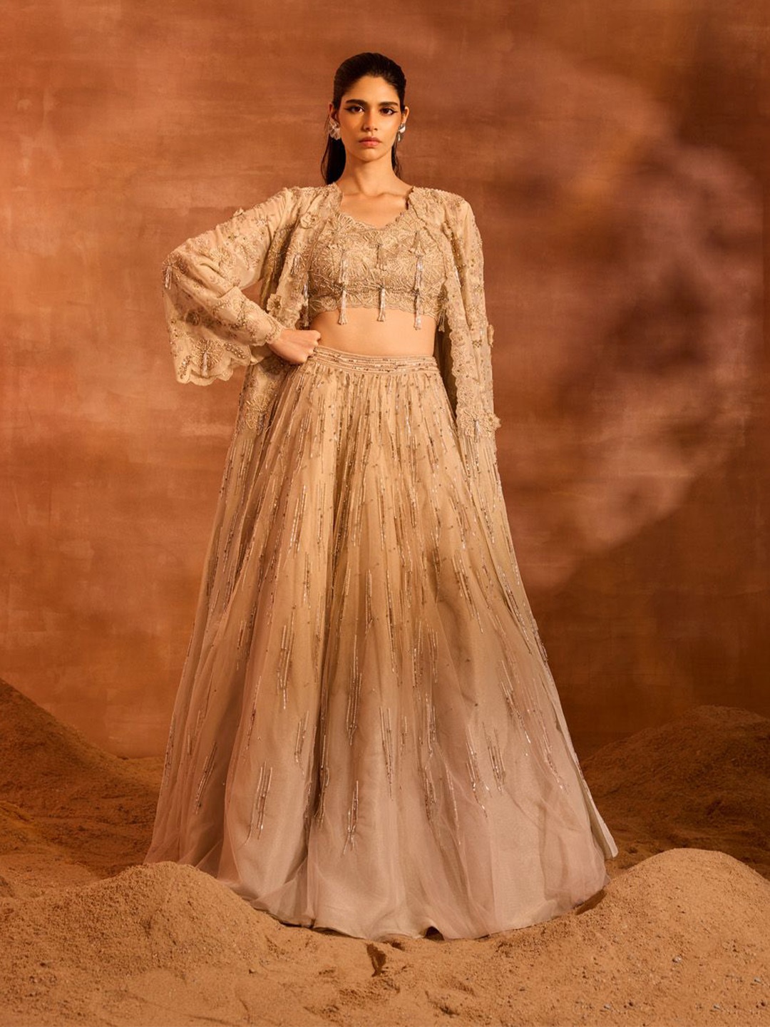 

DIVYA AGGARWAL Embellished Beads and Stones Ready to Wear Lehenga &, Beige