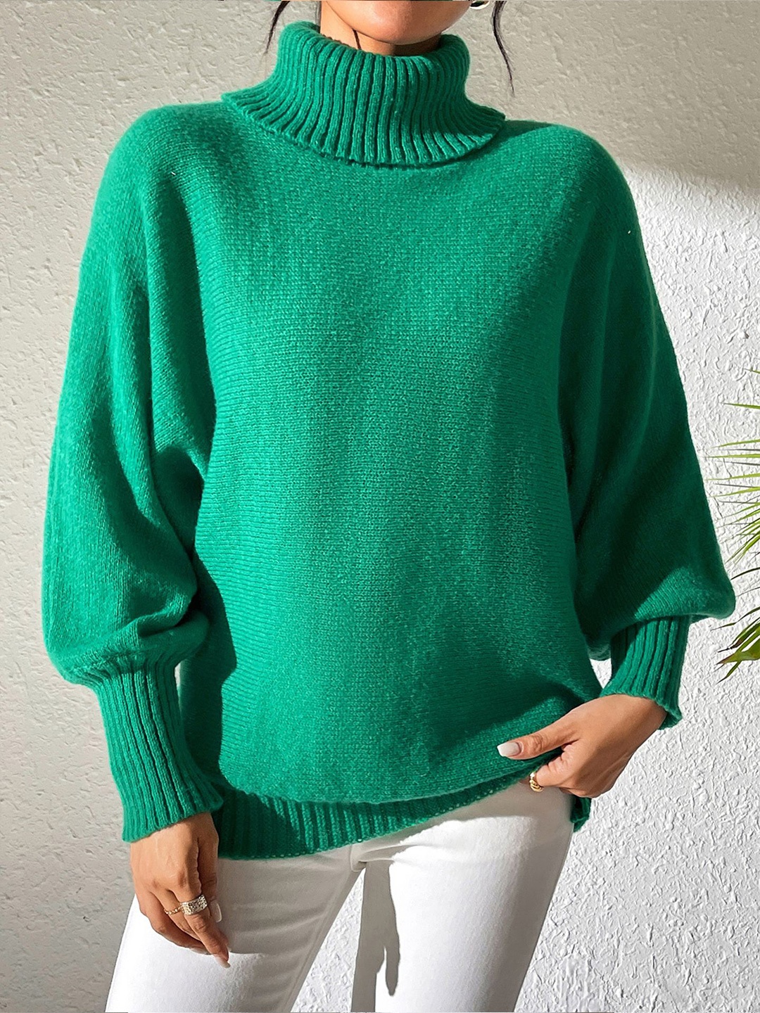 

StyleCast x Revolte Women Turtle Neck Long Sleeves Pullover, Green