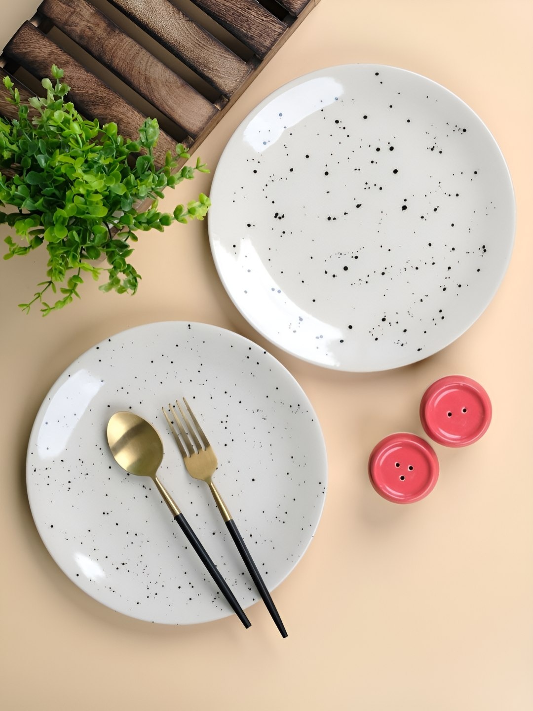 

VarEesha Vanilla White & Black 2 Pieces Printed Ceramic Glossy Plates