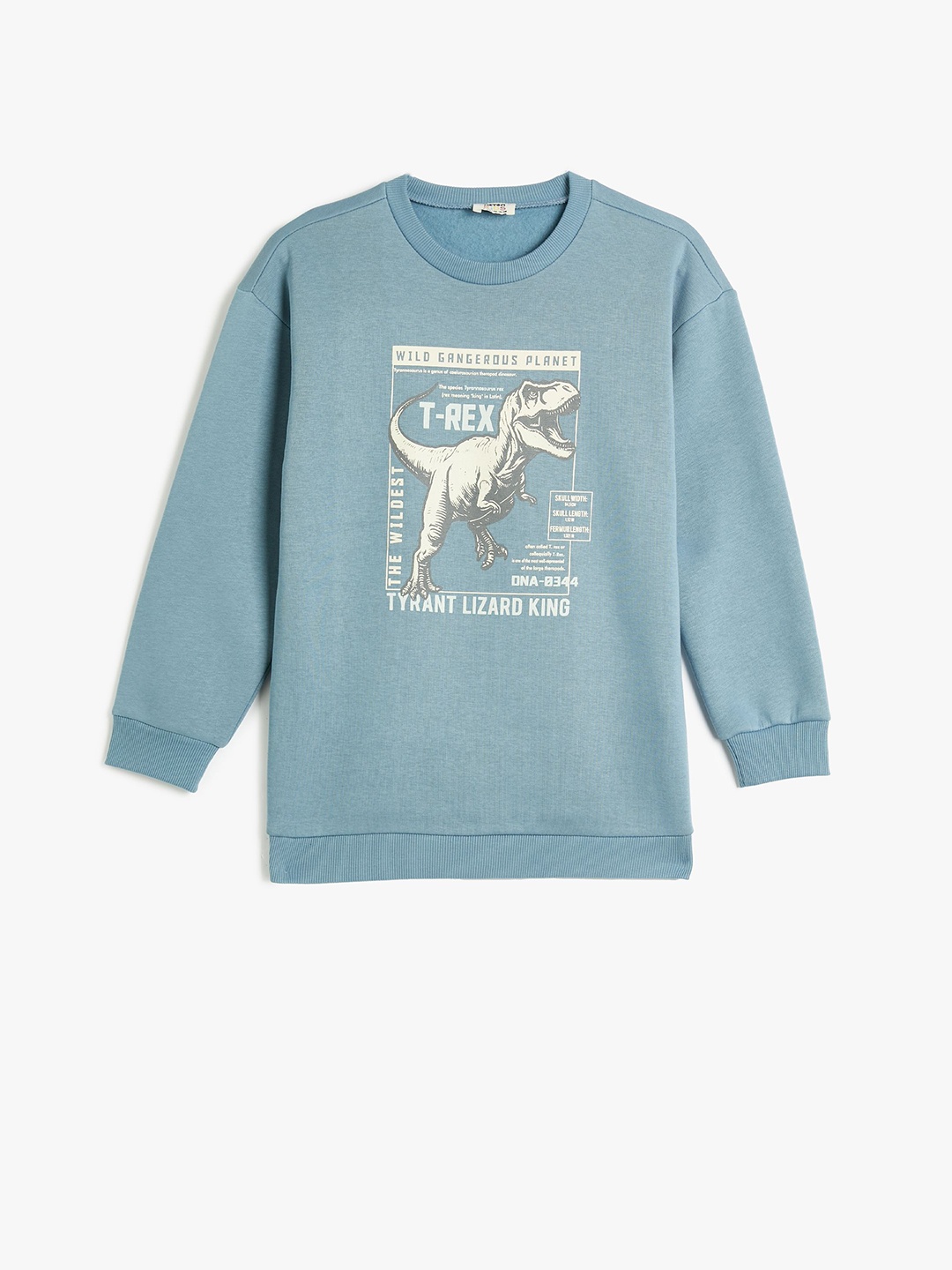 

Koton Boys Long Sleeves Pullover Sweatshirt, Blue