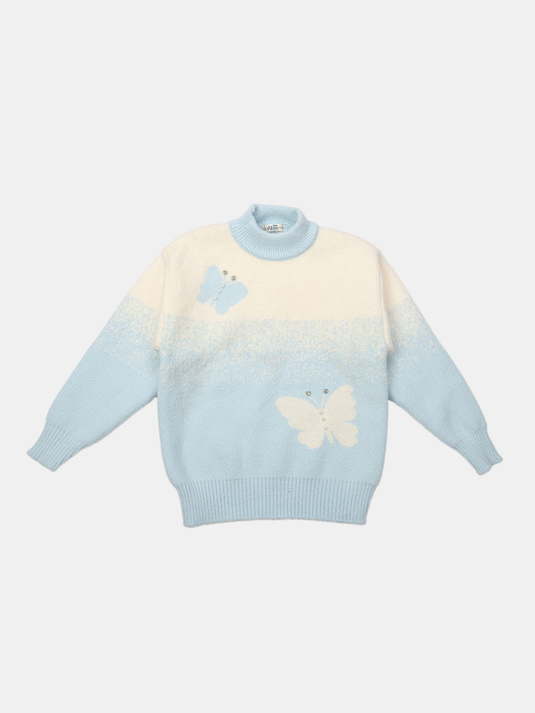 

Albion By CnM Girls Cotton Self Design Round Neck Long Sleeves Sweatshirt, Blue