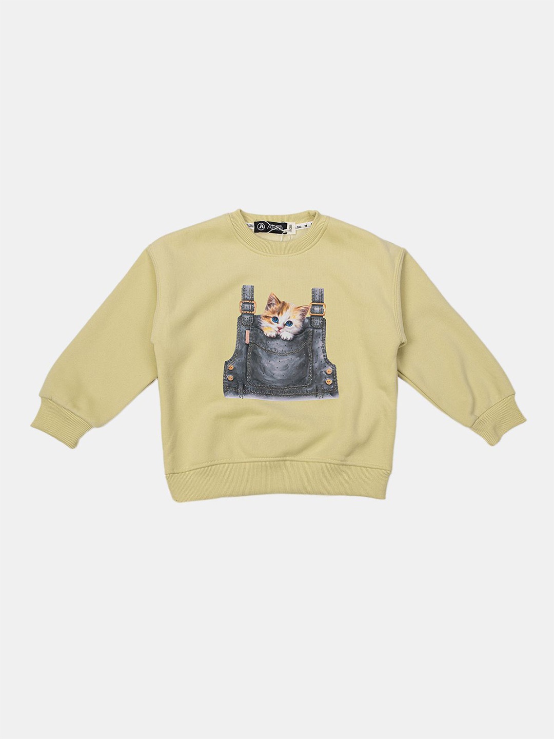

Albion By CnM Girls Graphic Printed Pullover Sweatshirt, Green