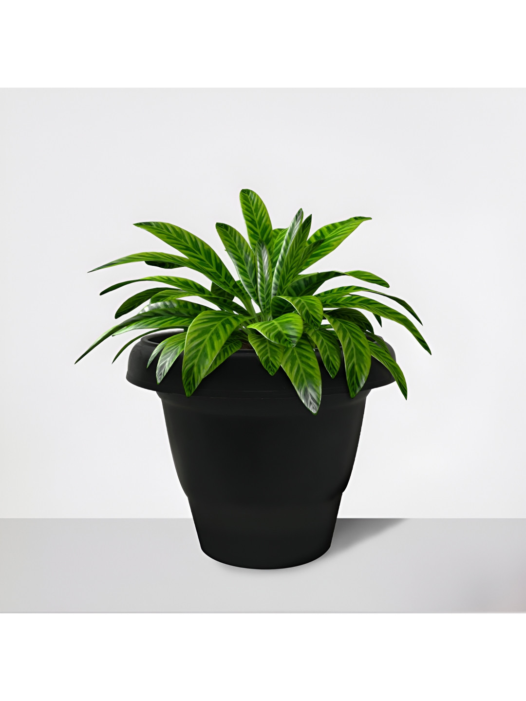 

Urban Choice Black 1 Pieces Core