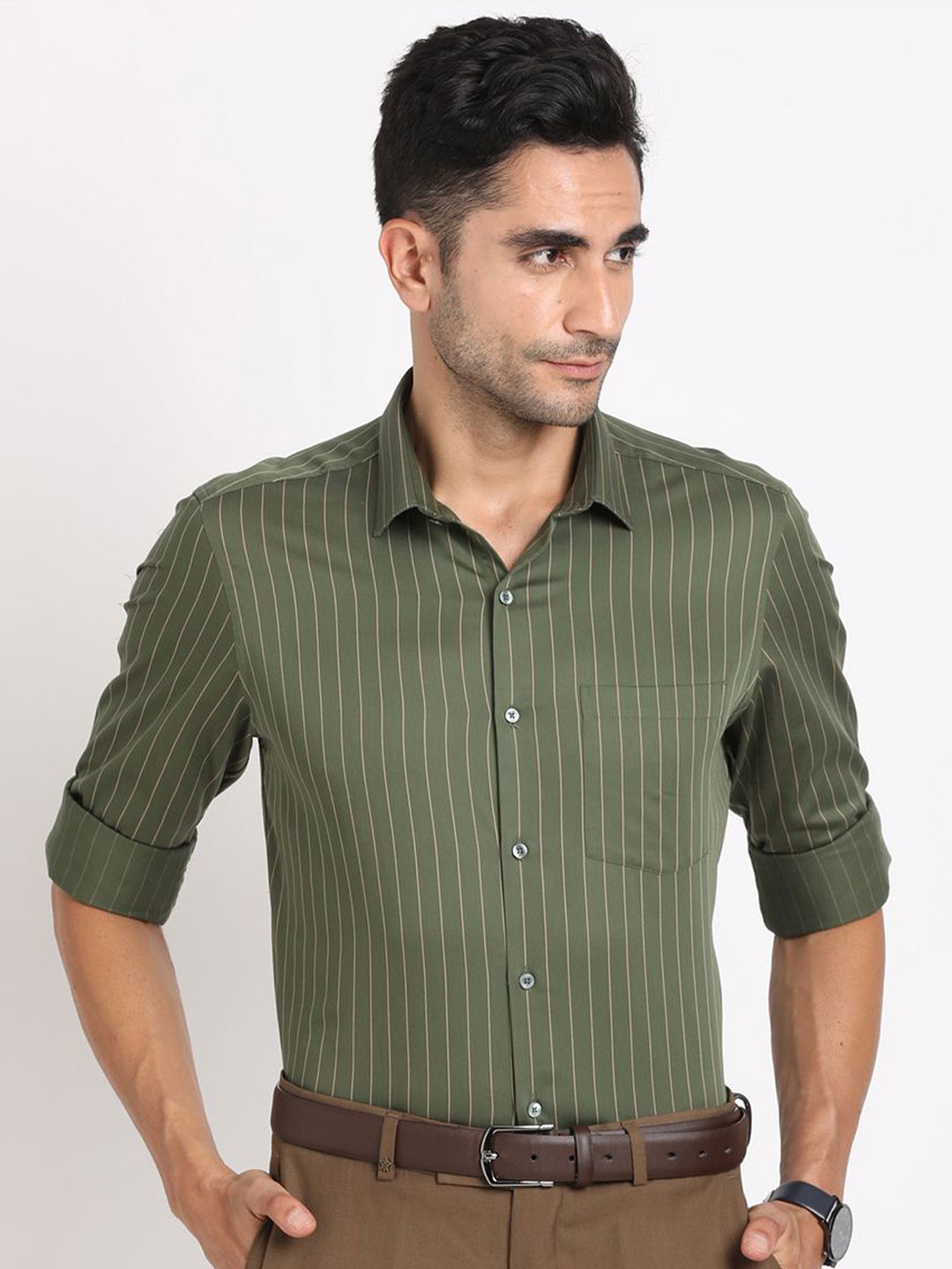 

Turtle Men Standard Opaque Striped Formal Shirt, Green