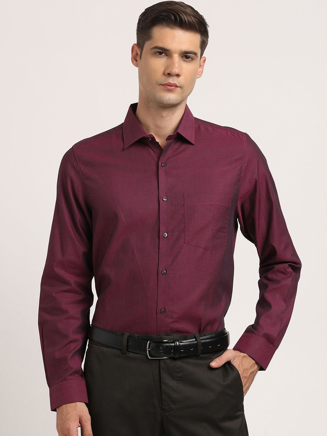 

Turtle Men Standard Slim Fit Opaque Formal Shirt, Purple