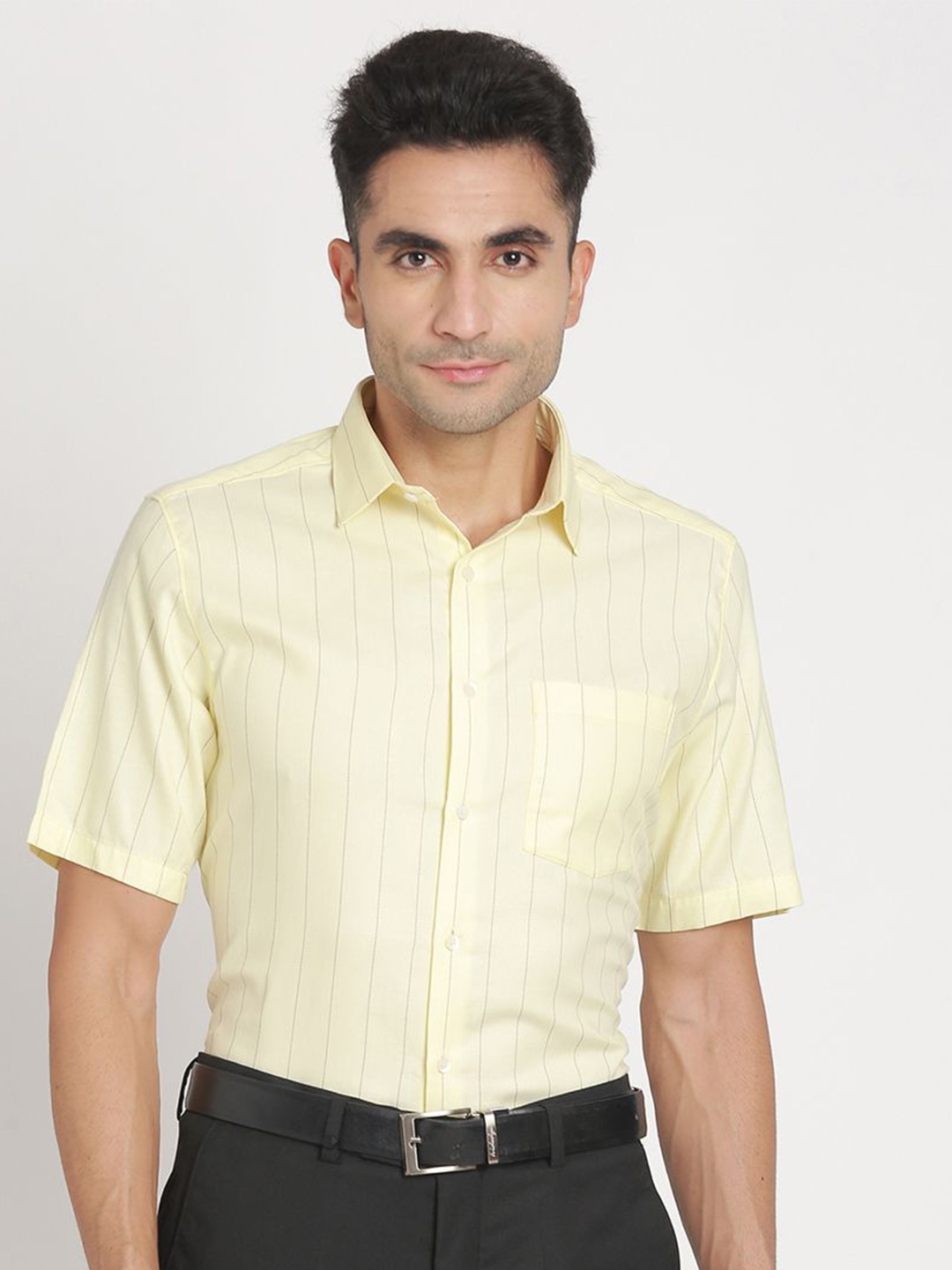 

Turtle Men Standard Opaque Striped Formal Shirt, Yellow