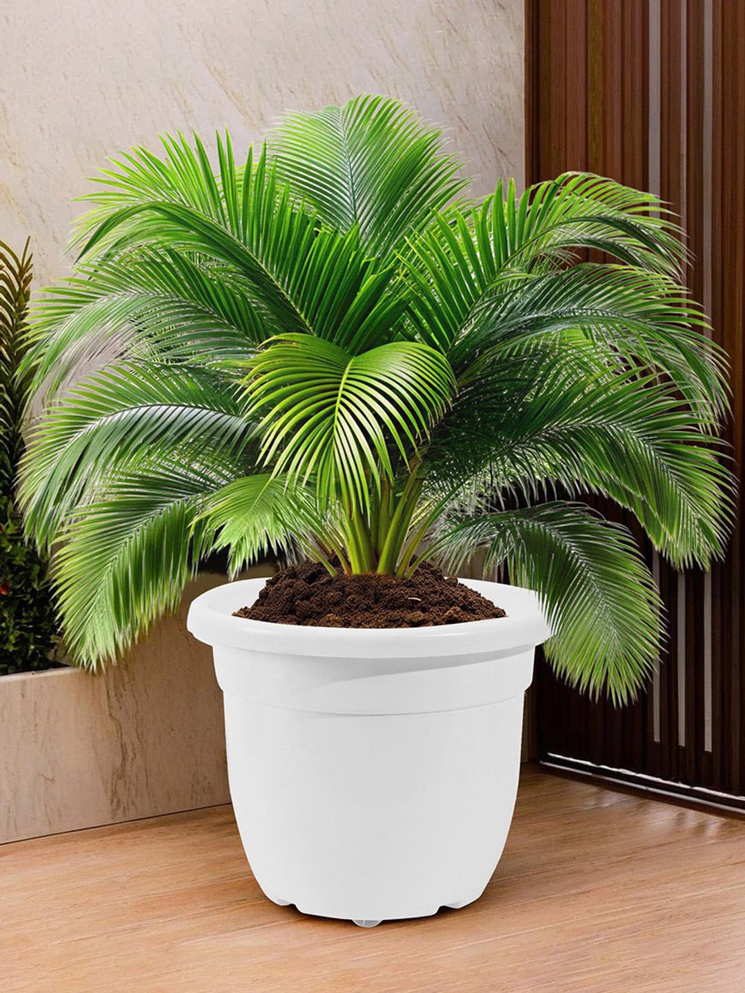 

Kuber Industries White Recyclable Planters With Removable Wheels