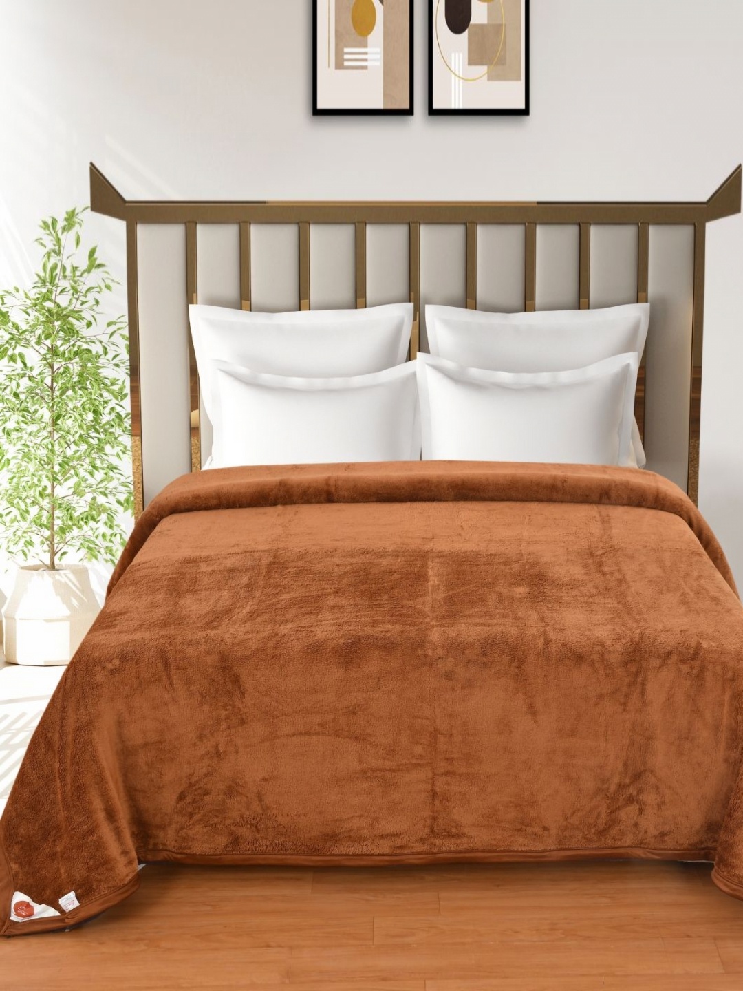 

Florida Brown & White 300 GSM Double Bed Blanket