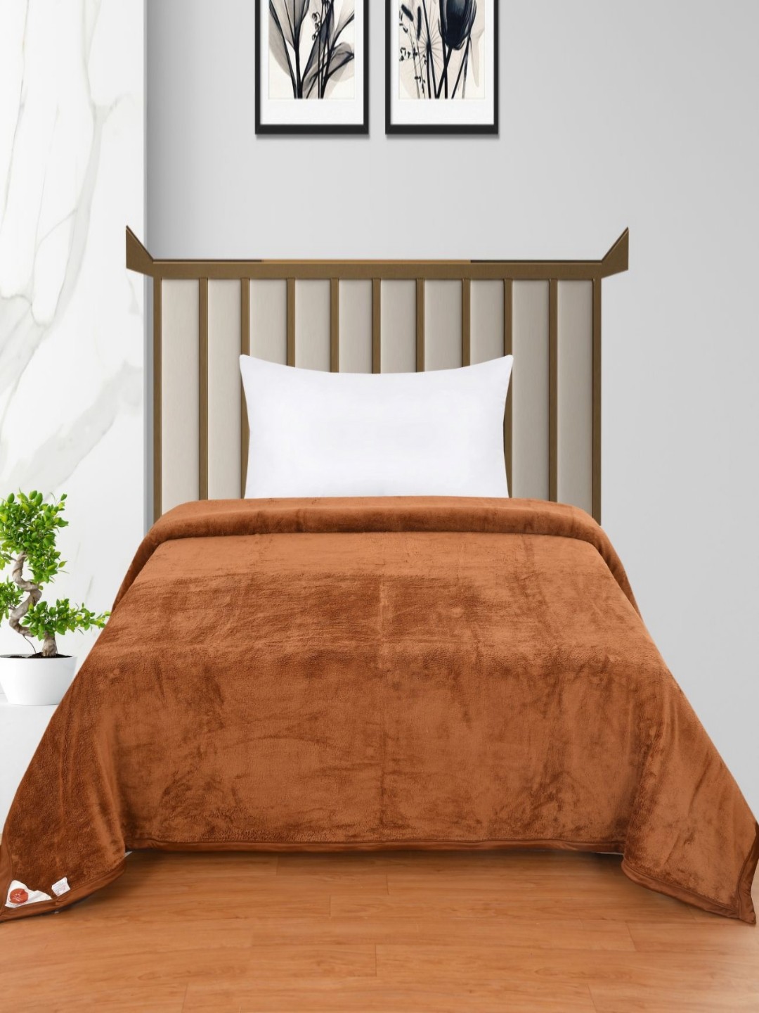 

Florida Brown 300 GSM Single Bed Blanket