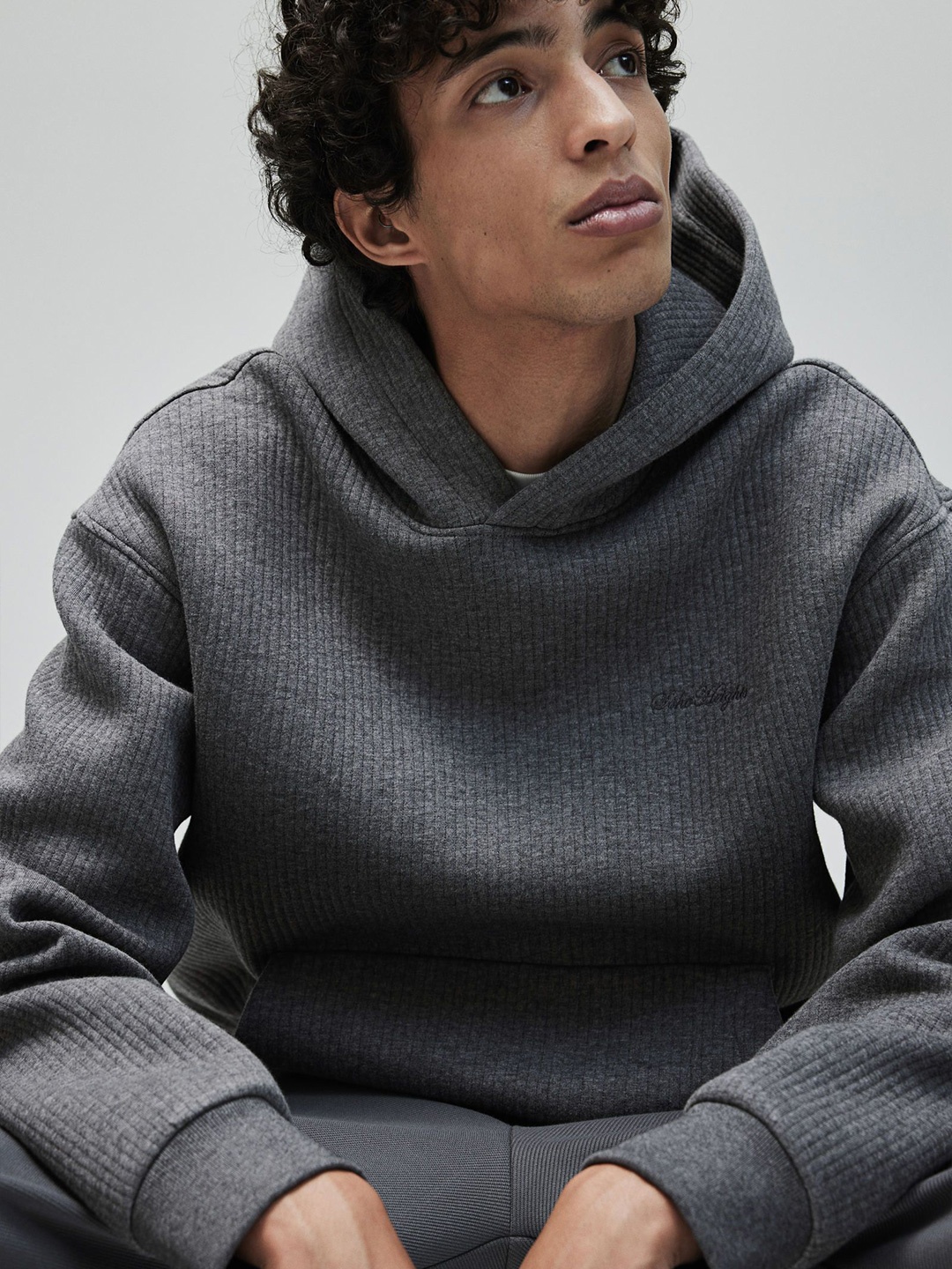 

H&M Men Loose Fit Ribbed Hoodie, Grey