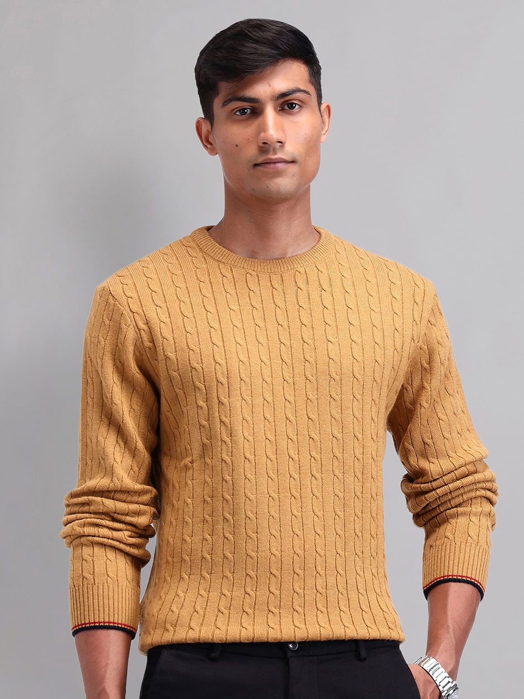 

AD By Arvind Men Cable Knit Self Design Pullover, Yellow