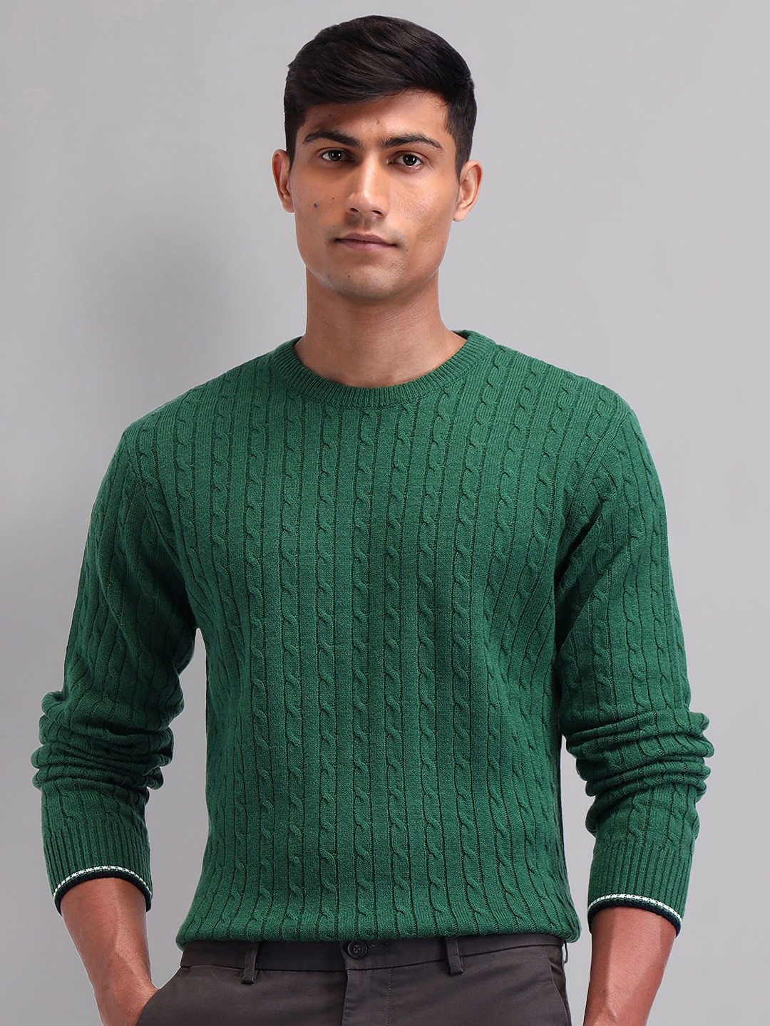 

AD By Arvind Men Long Sleeves Cable Knit Pullover Sweater, Green