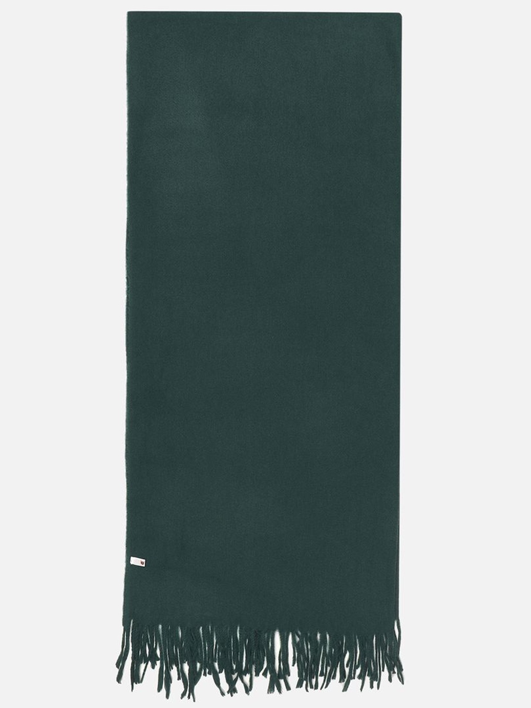 

Beau Design Women Scarf Has Tasselled Border, Green