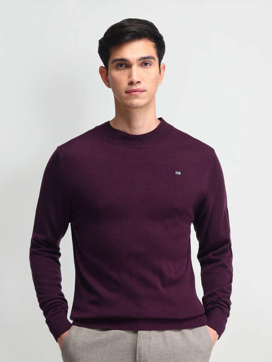 

Arrow Sport Men Round Neck Long Sleeves Pullover, Burgundy
