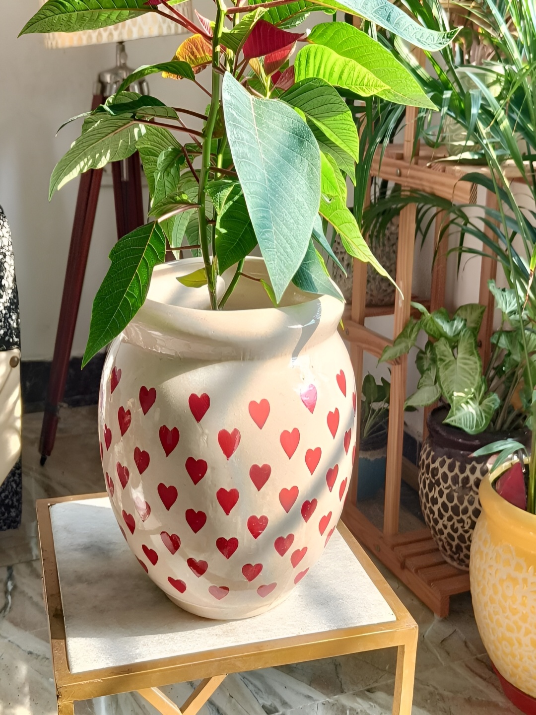 

NIYARA White & Red Printed Ceramic Planter