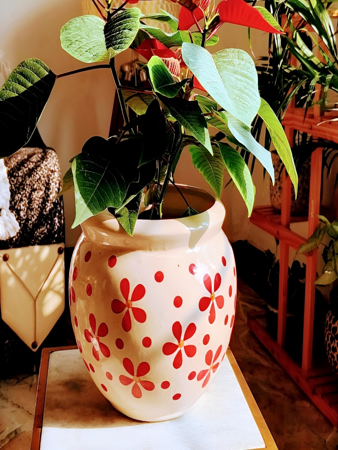 

NIYARA White & Red Printed Ceramic Planter