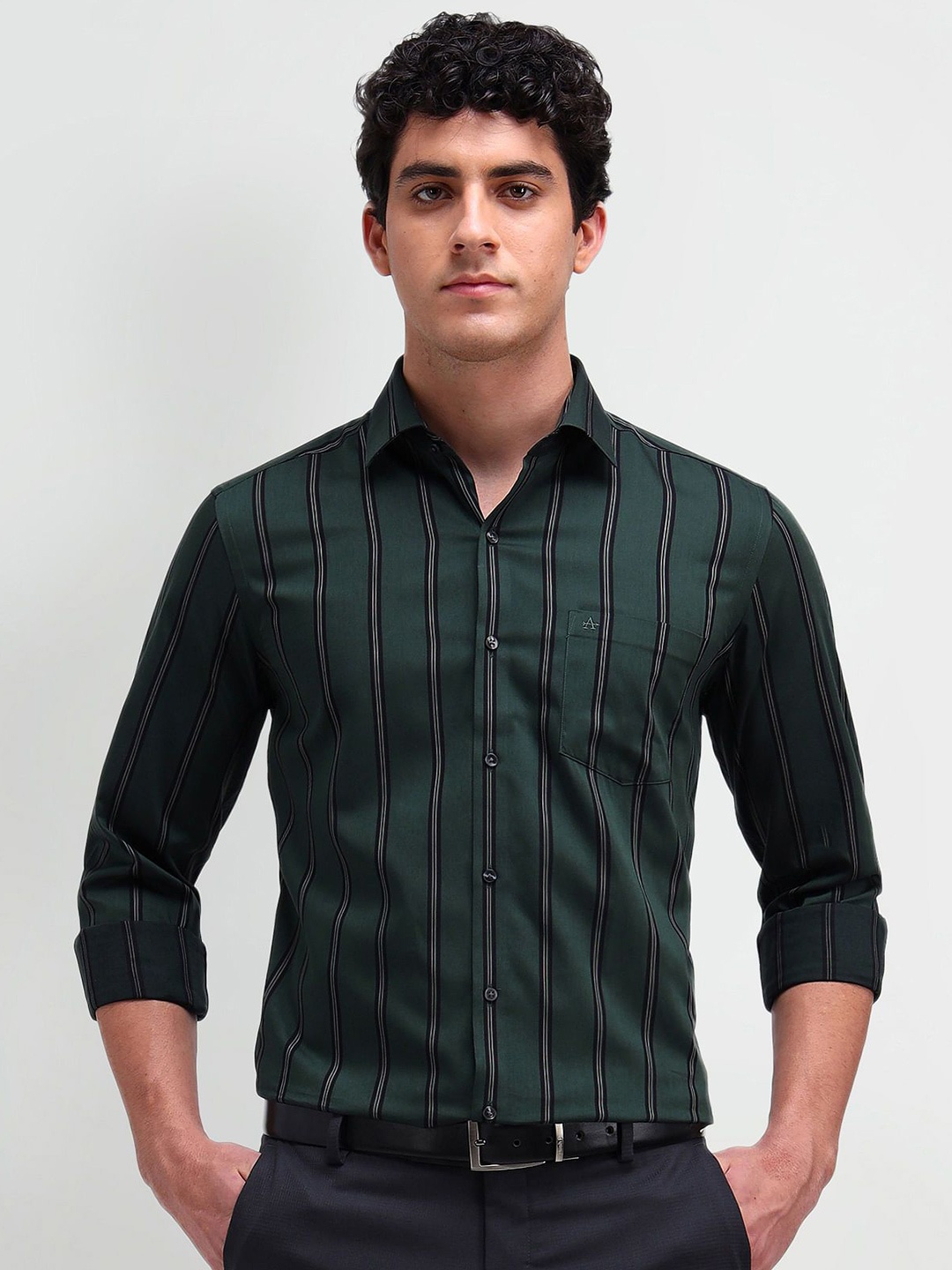 

Arrow Men Slim Fit Opaque Striped Casual Shirt, Green