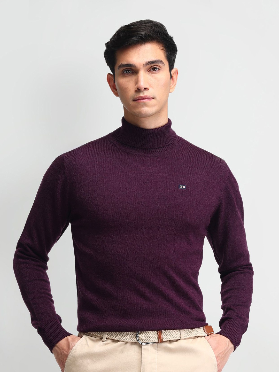 

Arrow Sport Men Cotton Turtle Neck Long Sleeves Pullover, Purple