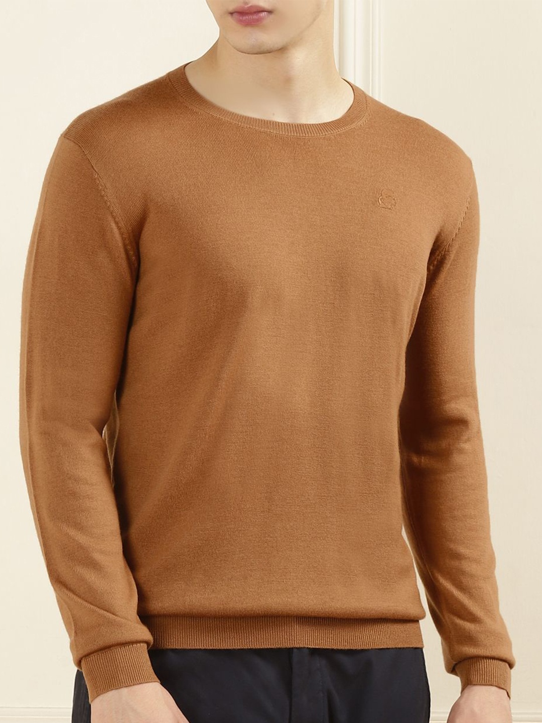 

Karl Lagerfeld Men Woollen Pullover, Brown