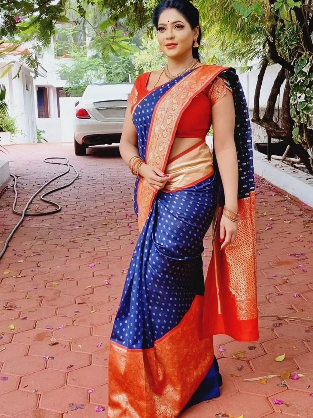

Jinax Woven Design Zari Pure Silk Banarasi Saree, Blue