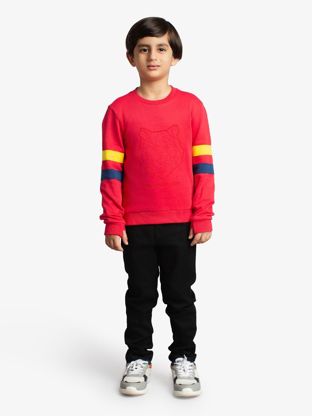 

Ed-a-Mamma Boys Printed Sweatshirt, Red