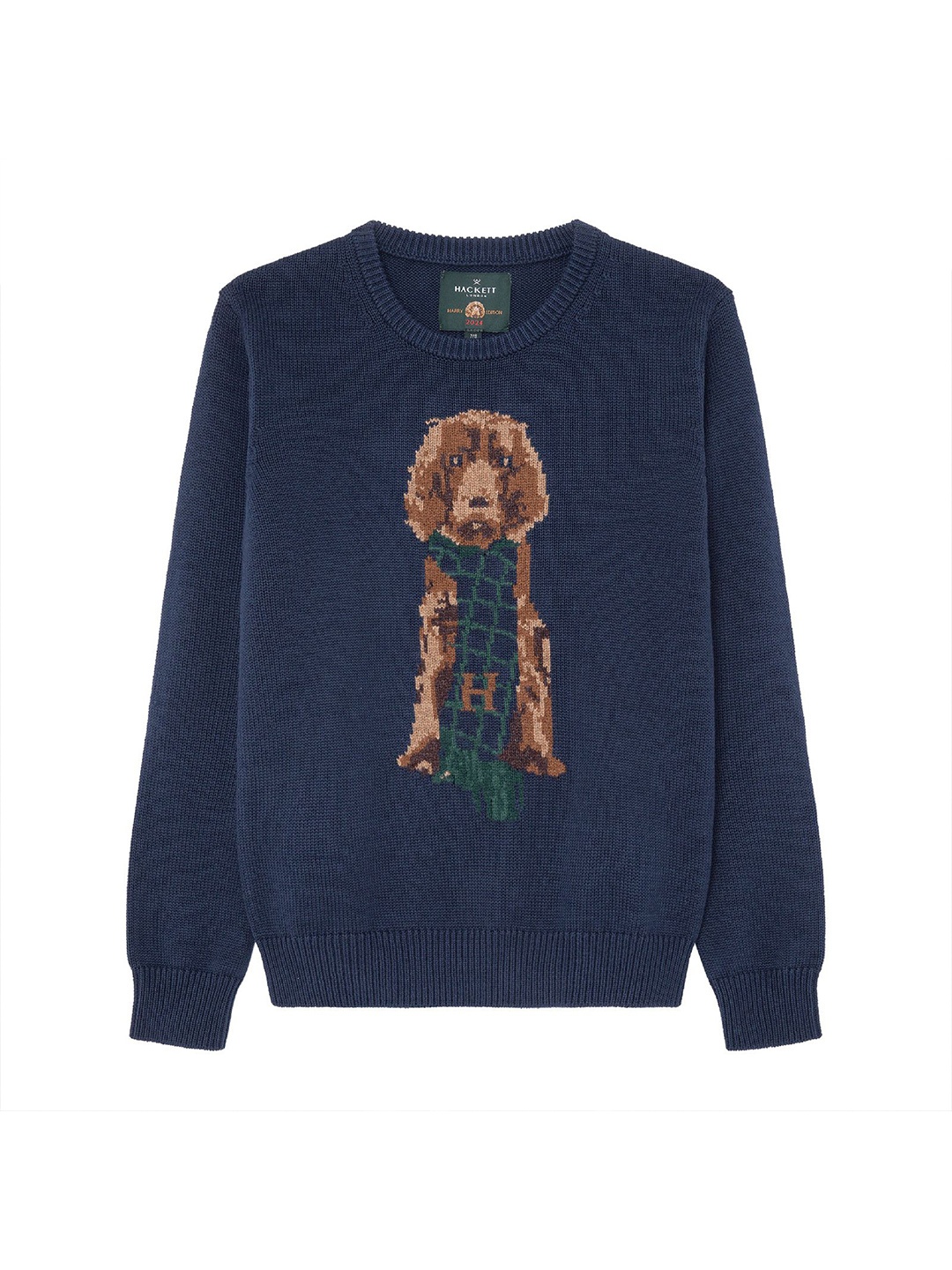 

HACKETT LONDON Boys Printed Woollen Pullover, Blue