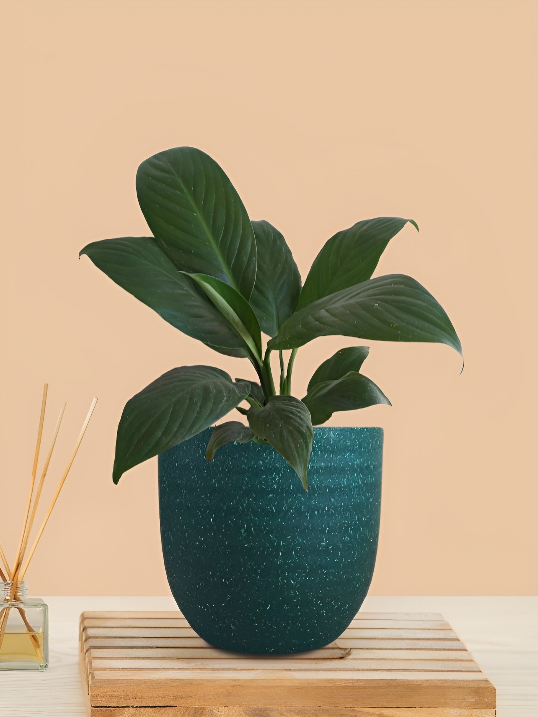 

Greenkin Peace Lily Plant With Pot, Green