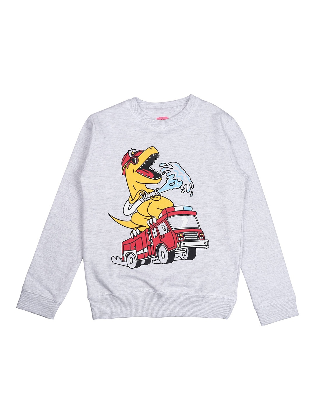 

Arshia Fashions Boys Printed Sweatshirt, Grey