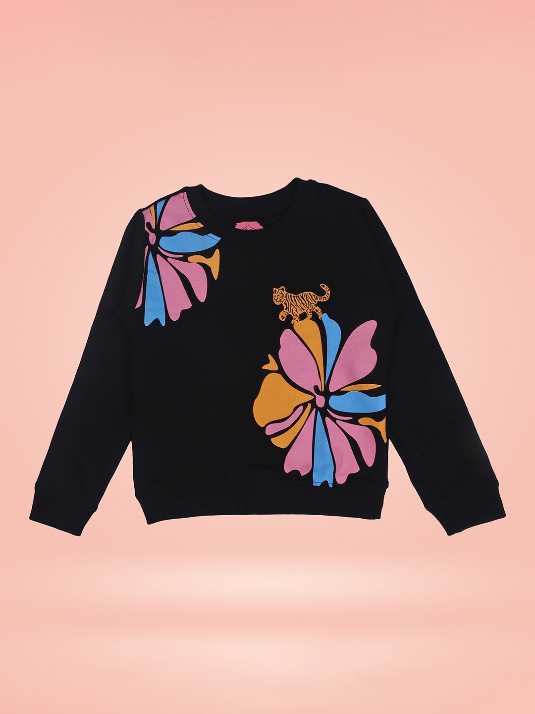 

Arshia Fashions Girls Printed Sweatshirt, Black