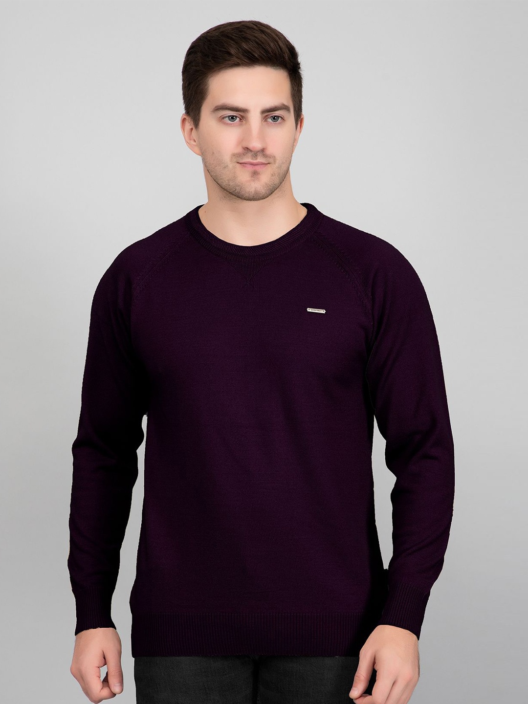 

GODFREY Men Woollen Pullover, Purple