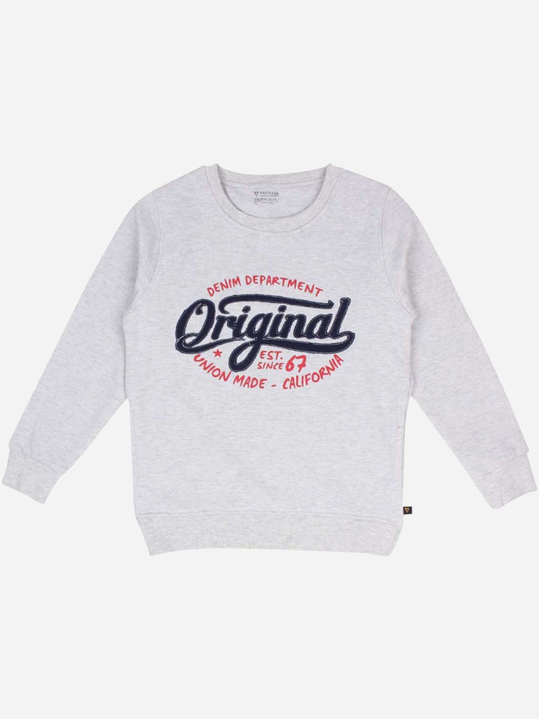 

Bodycare Boys Printed Sweatshirt, Grey
