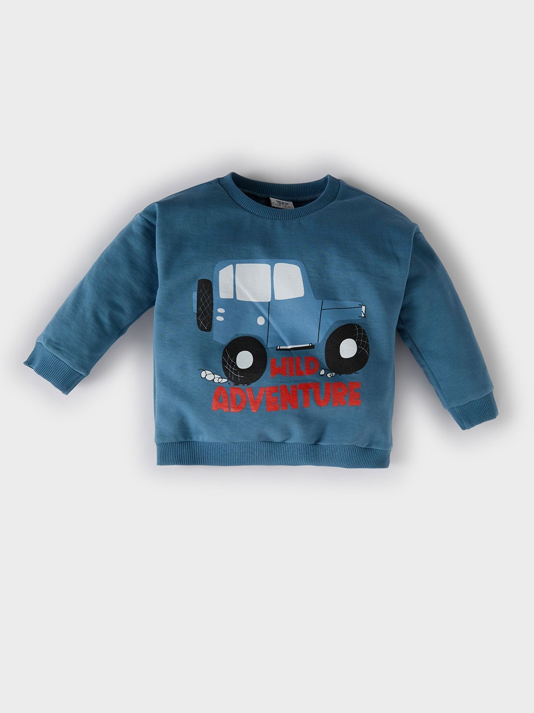 

DeFacto Boys Typography Printed Round Neck Pullover, Blue