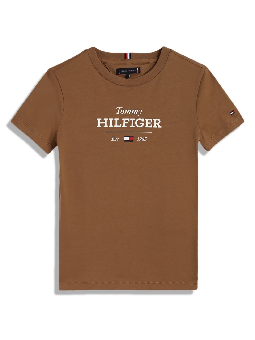 

Tommy Hilfiger Boys Typography Applique T-shirt, Brown