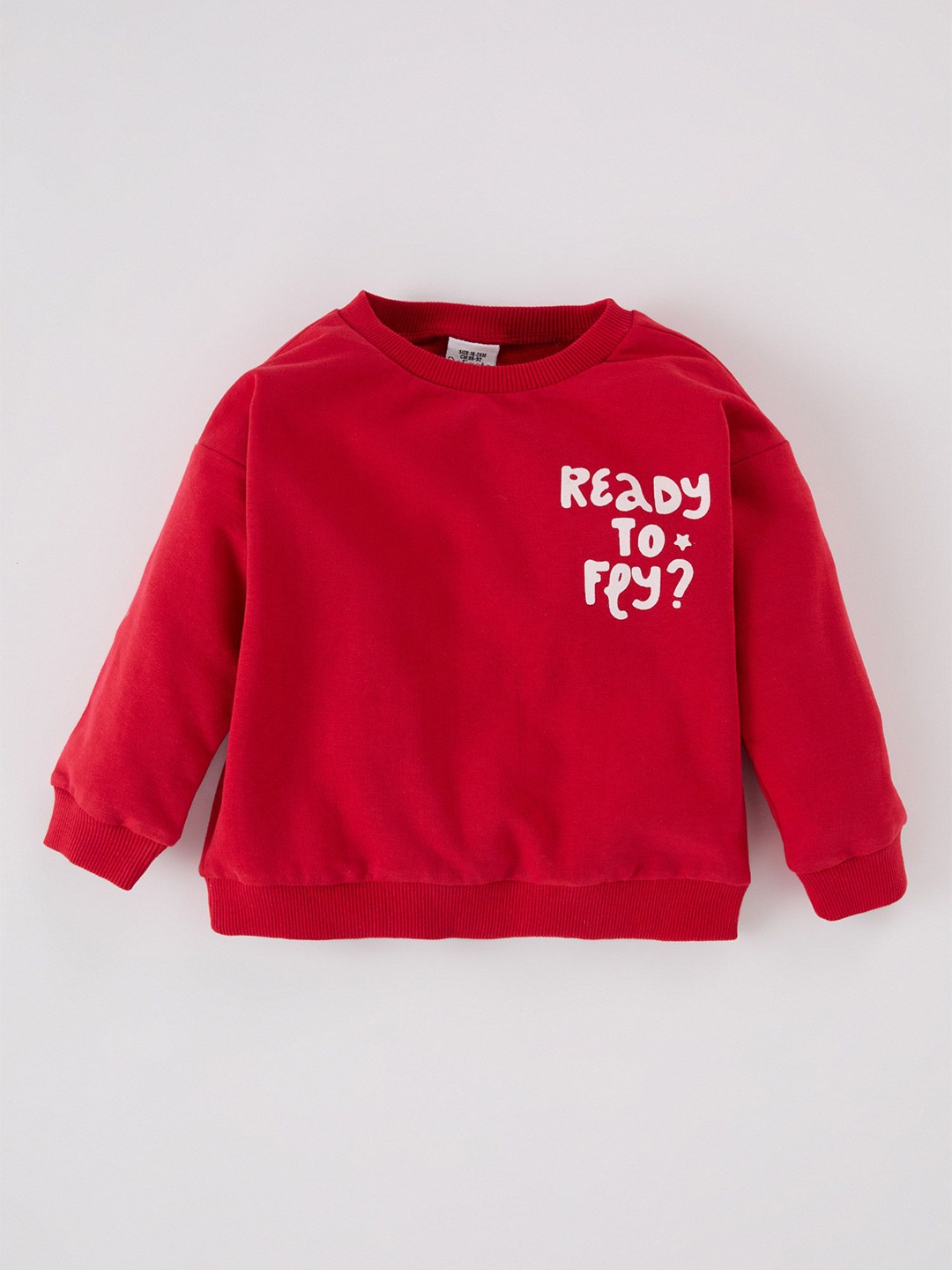 

DeFacto Boys Typography Printed Pullover Sweater, Red