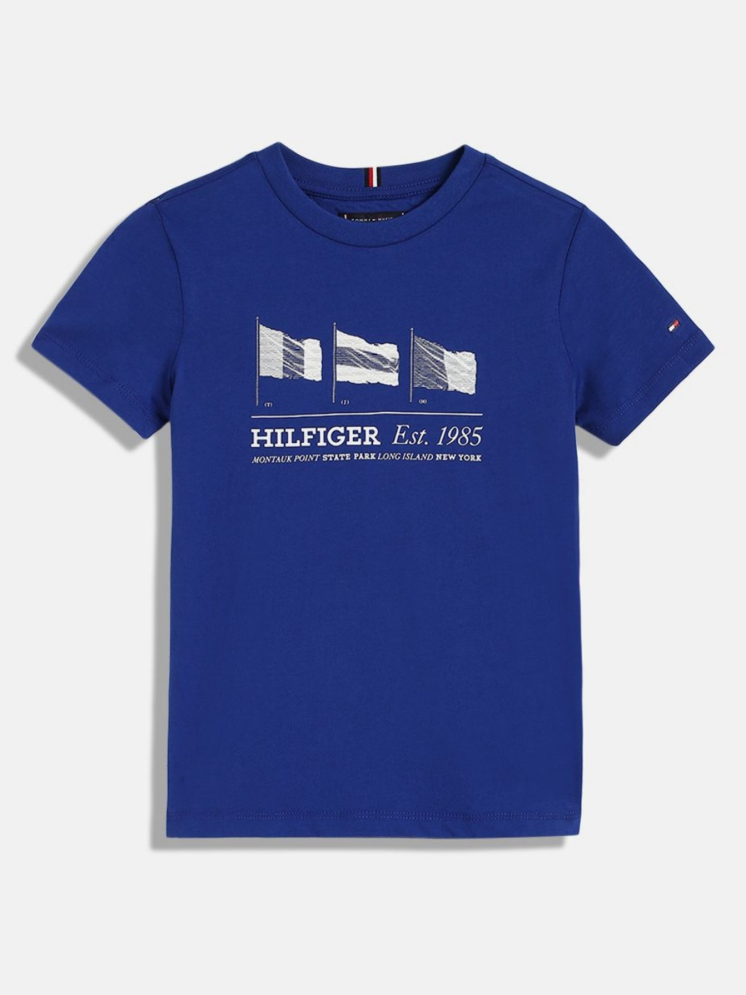 

Tommy Hilfiger Boys Printed Applique T-shirt, Blue