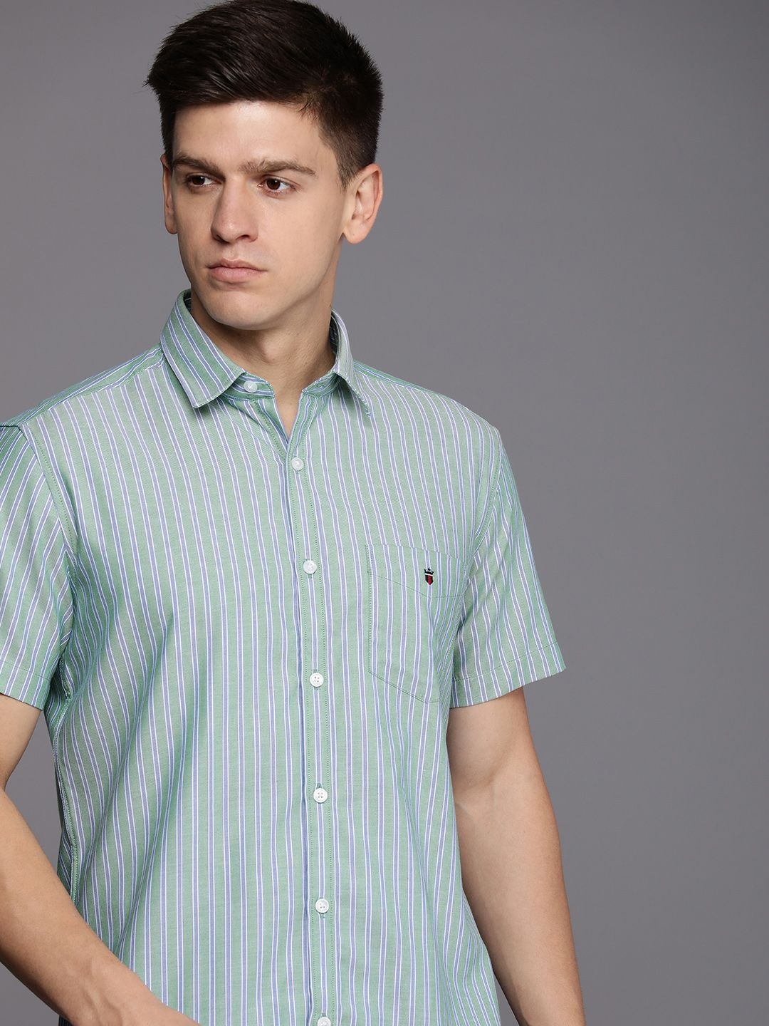 

Louis Philippe Sport Pure Cotton Slim Fit Opaque Striped Casual Shirt, Green