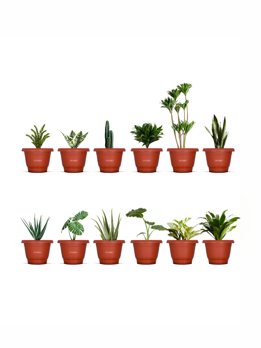 

Cinagro 12-Pcs Red Round Planters