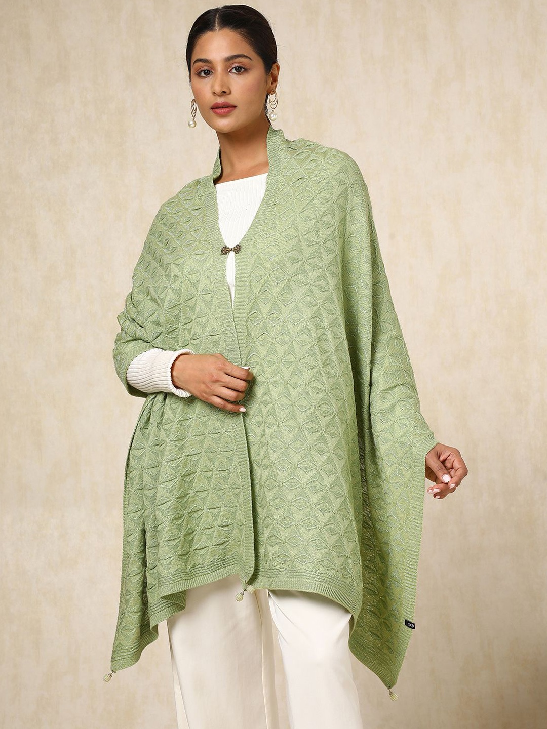 

Soch Womens Light Green Acrylic Woven Design Shawl