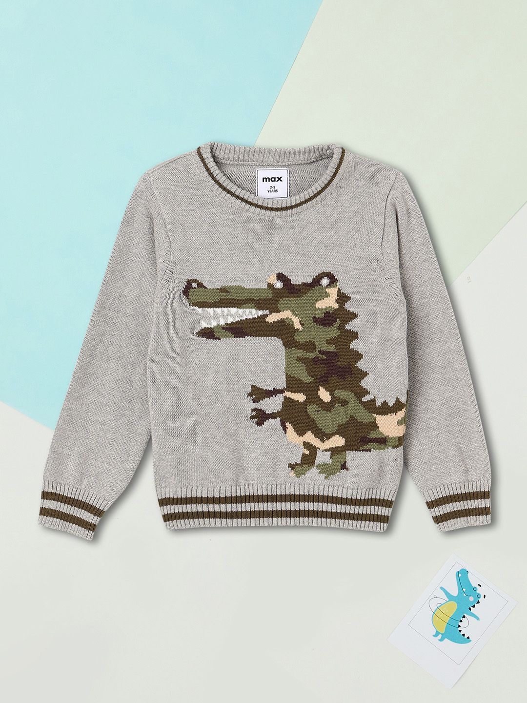 

max Boys Animal Printed Pullover, Grey