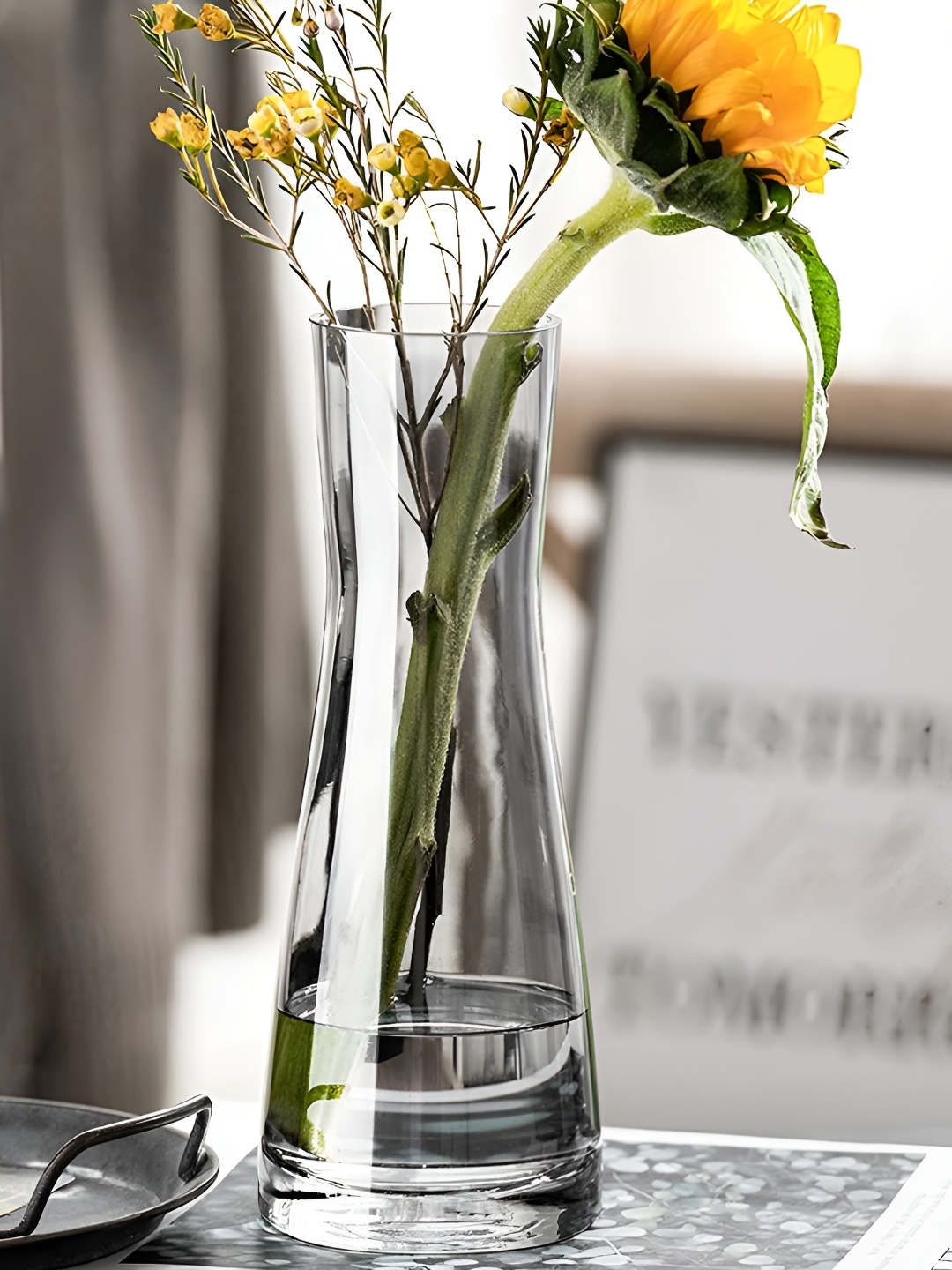 

Clovefry Black & Transparent Glass FlowerVase