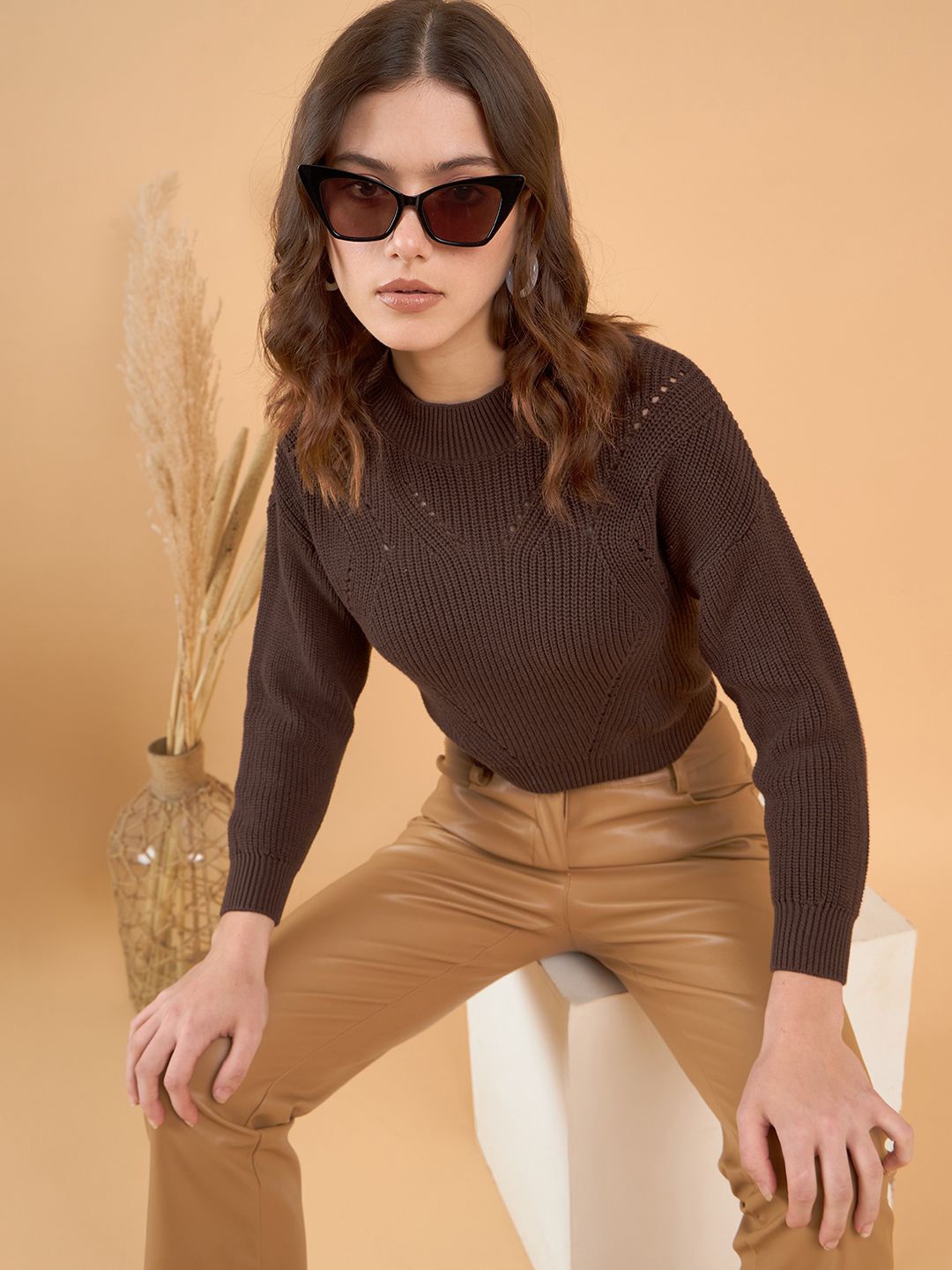 

STYLE BLUSH Women Self Design Round Neck Long Sleeves Pullover, Brown