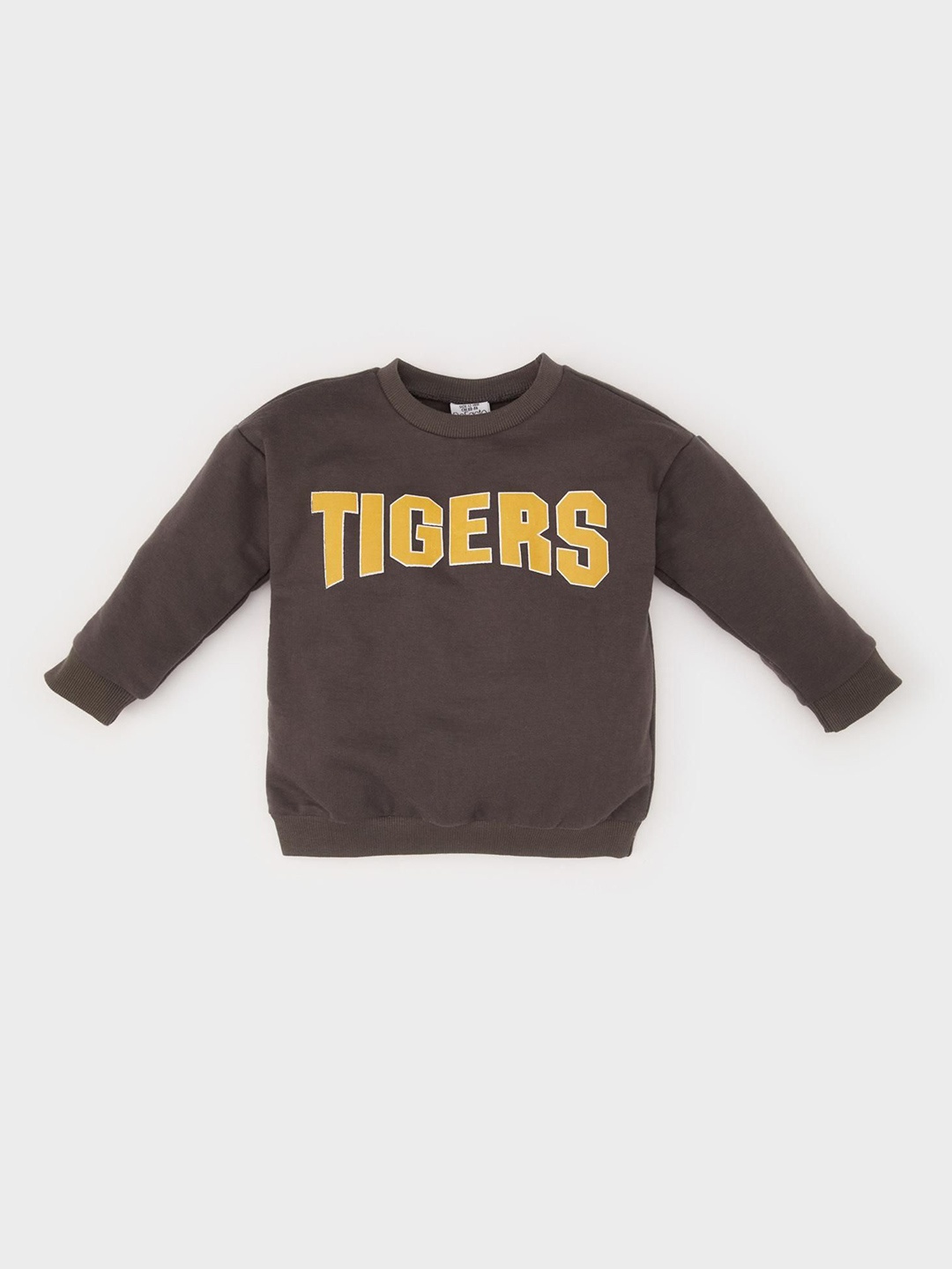

DeFacto Boys Typography Printed Pullover, Brown
