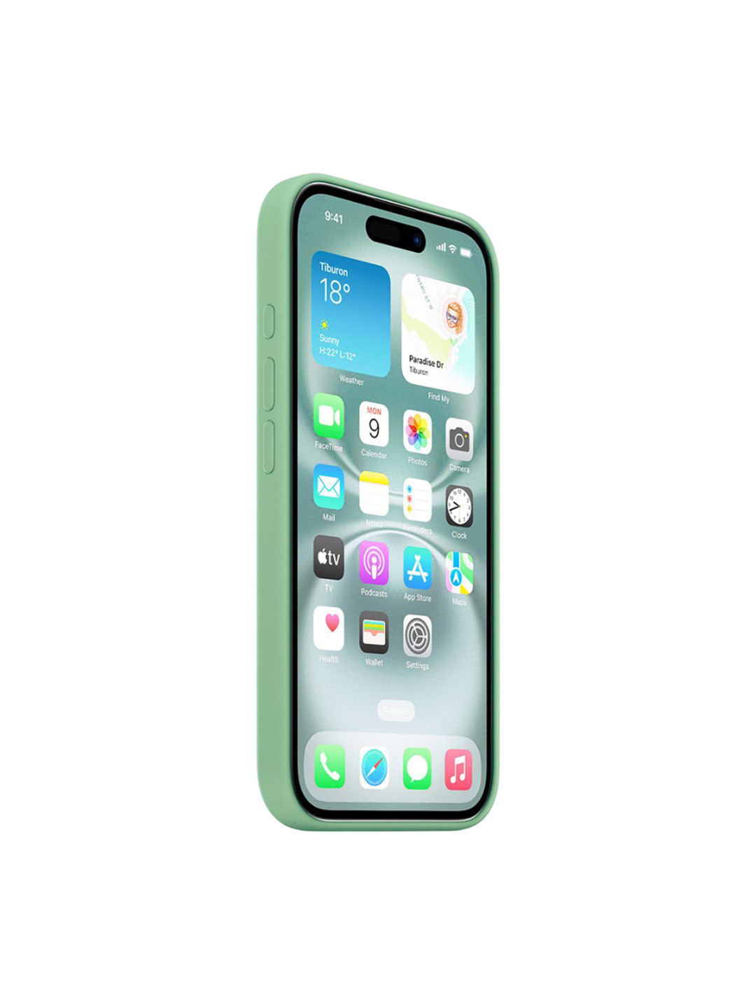 

TREEMODA Solid Printed iPhone 16 Back Case Mobile Accessories, Green